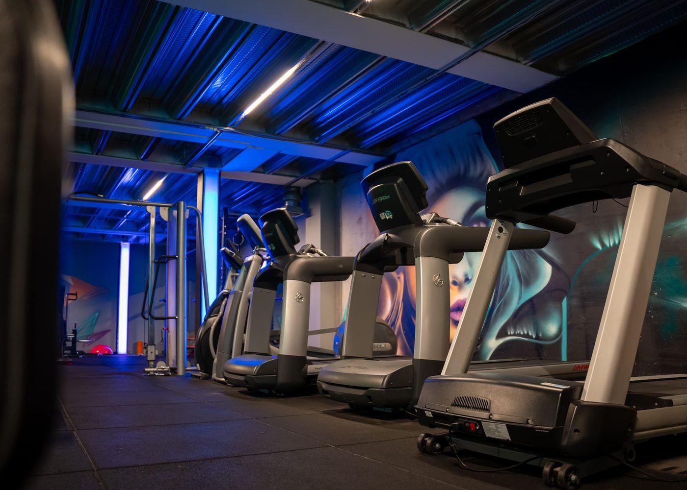 Zona de cardio con bandas y elípticas